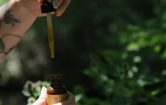 How Much CBD Oil Should I Take? Dosage Guide