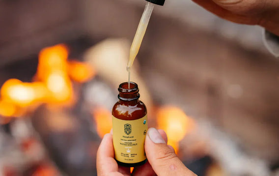 Hemp Oil vs CBD Oil