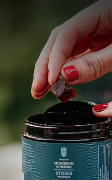 Best functional mushroom gummies